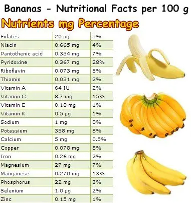 Properties And Benefits Of Bananas NatureWord