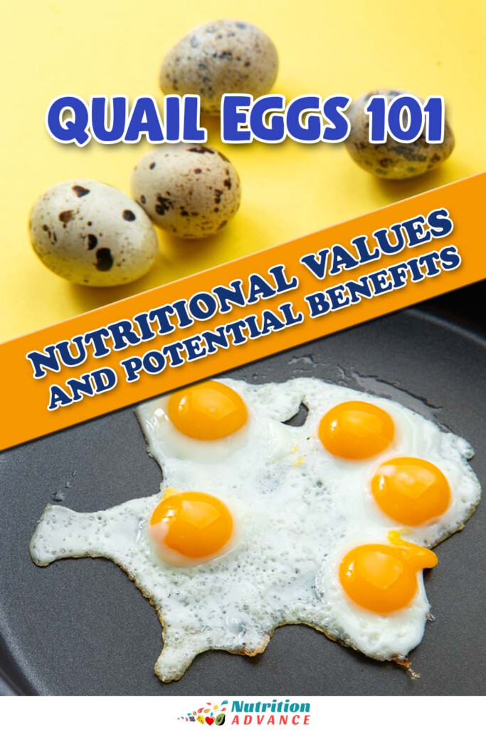 Quail Eggs 101 Nutritional Values Benefits Downsides Nutrition Advance