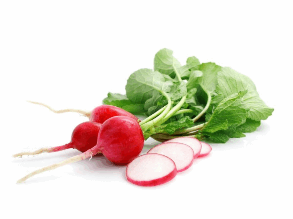 Radishes Nutrition Information Eat This Much