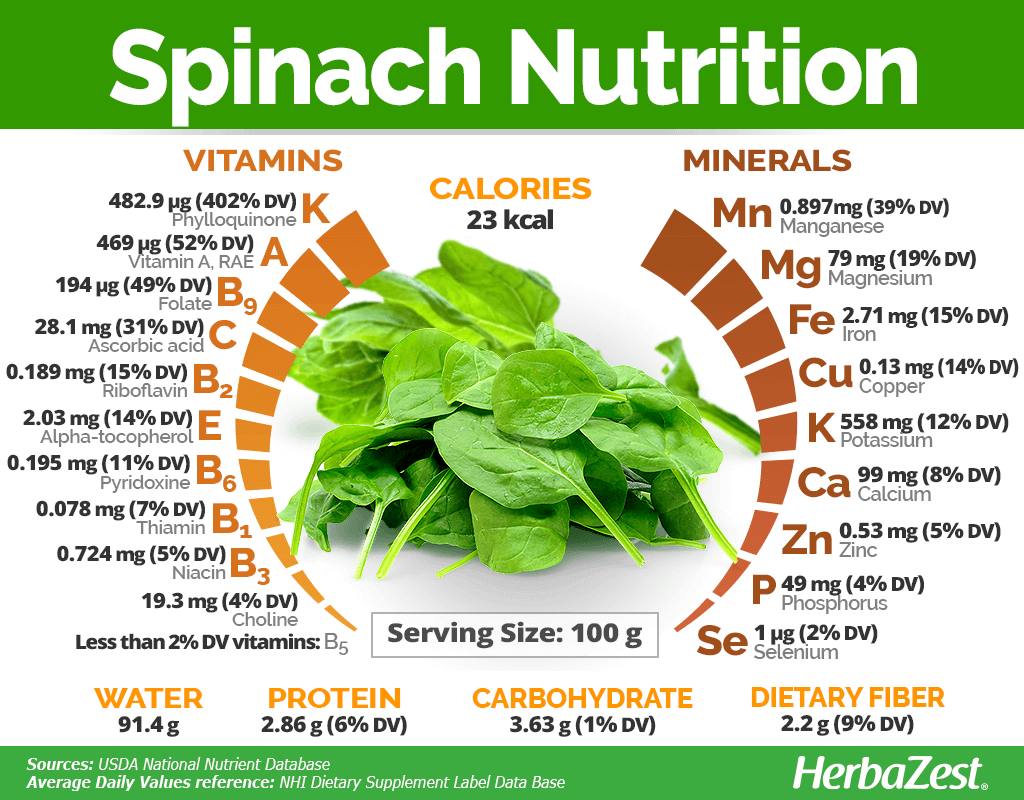 Spinach HerbaZest