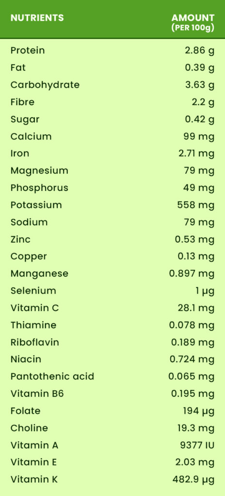 Spinach Nutrition Health Benefits And Recipe Boldsky