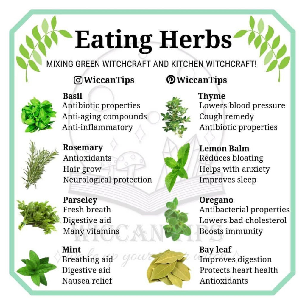 Summarize The Tips For Cooking With Leafy Herbs Foodrecipestory