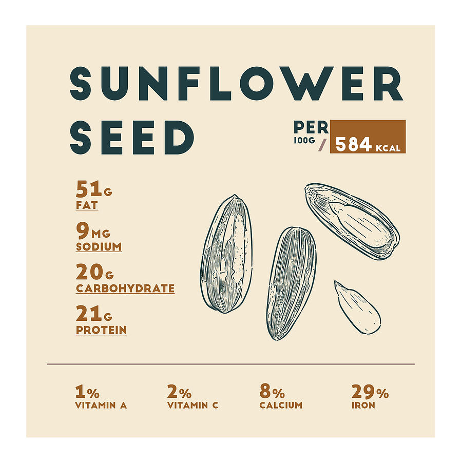 Sunflower Seed Nutrition Facts Drawing By Info Eats