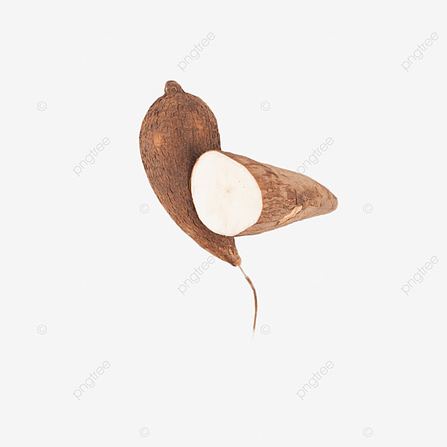Tapioca Nutritional Taste Snacks Cassava Still Life Colour PNG 