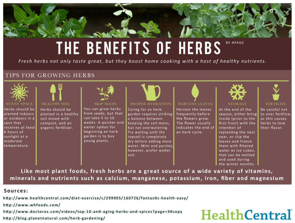 The Health Benefits Of Herbs Infographic 