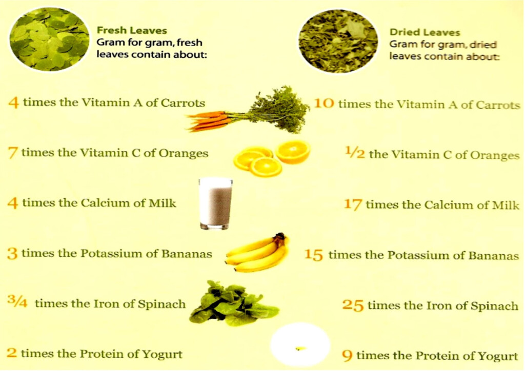 The Moringa Nutritional Fact 4th Of A Series Gram For Gram Comparison 