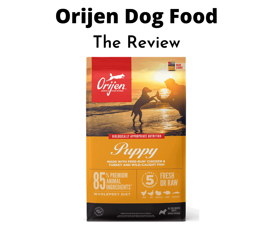 The Orijen Dog Food Review Tested Evaluated 2025 Gentledogtrainers 