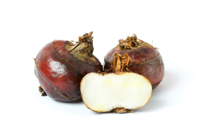 Water Chestnut Statyourself