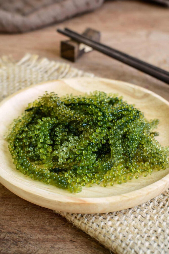 What Is Sea Grapes And Sea Grapes Seaweed Recipe A Spectacled Owl